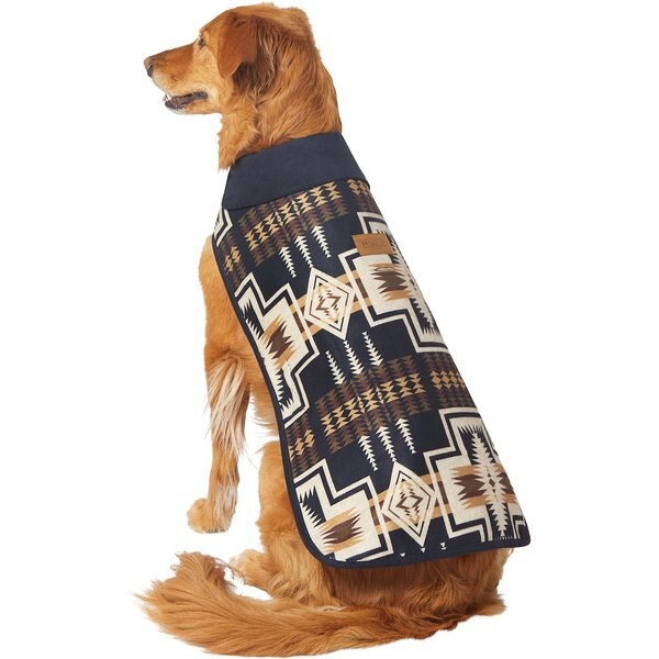 chewy pendleton dog coat