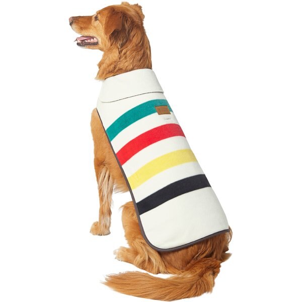 chewy pendleton dog coat