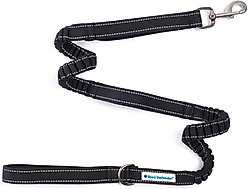 Shed Defender Triton Nylon Bungee Reflective Dog Leash, Black, 4 to 7-ft long, 1-in wide slide 2 of 5