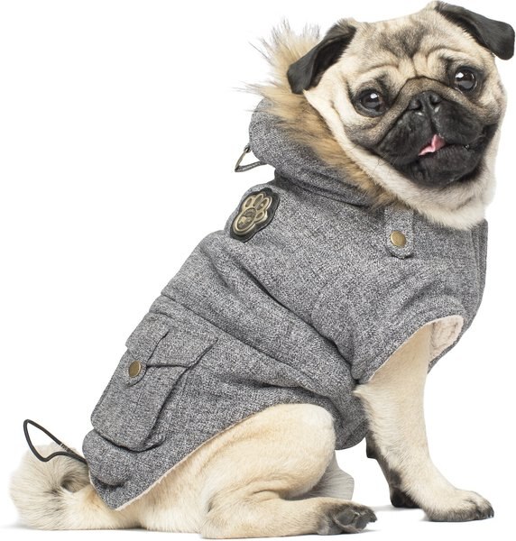 Canada Pooch Alaskan Army Faux Down Insulated Dog Parka, Salt & Pepper, 10 slide 1 of 5
