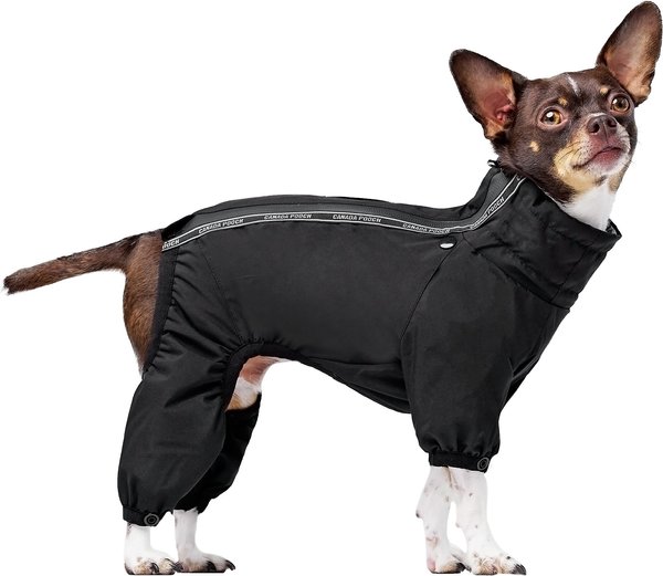 Canada Pooch Dog Snowsuit, Black, 12 slide 1 of 4