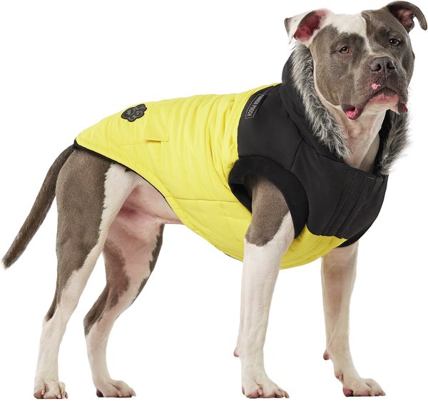 Canada Pooch True North Insulated Dog Parka, Yellow, 8 slide 1 of 5