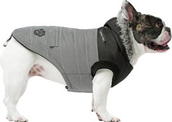 Canada Pooch True North Insulated Dog Parka, Reflective, 8