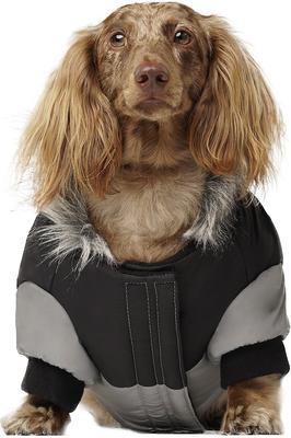 Show full view: Canada Pooch True North Insulated Dog Parka, Reflective, 10 slide 2 of 6