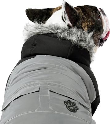 Show full view: Canada Pooch True North Insulated Dog Parka, Reflective, 10 slide 3 of 6
