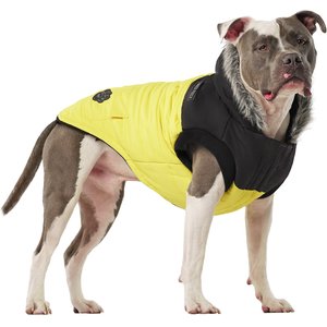 Canada Pooch True North Insulated Dog Parka, Yellow, 16