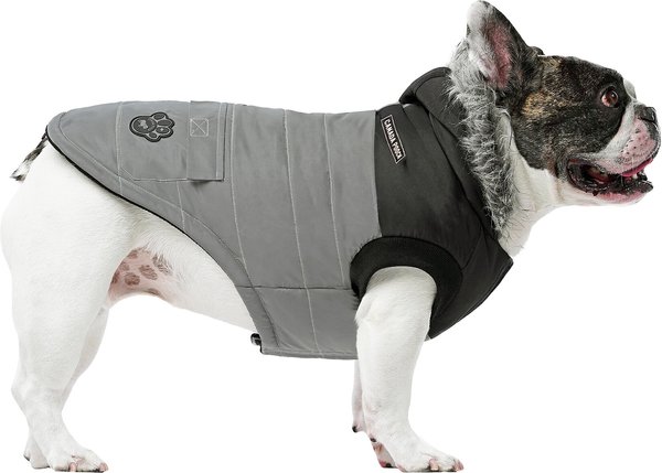 Canada Pooch True North Insulated Dog Parka, Reflective, 16 slide 1 of 5