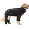 Show in main carousel: Canada Pooch The Slush Dog Suit, 26, Black slide 1 of 6