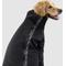 Show in main carousel: Canada Pooch The Slush Dog Suit, 26, Black slide 3 of 6