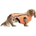 Canada Pooch Peak Performance Insulated Dog Vest, Orange, 18