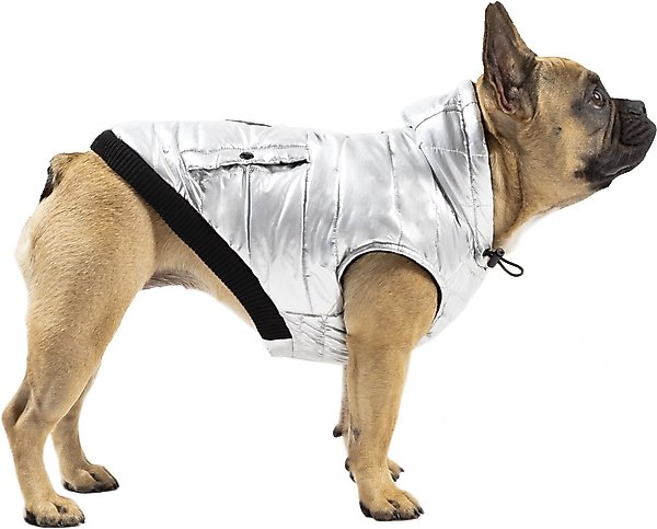 Canada Pooch Shiny North Pole Insulated Dog Puffer Vest, Silver, 14 slide 1 of 5