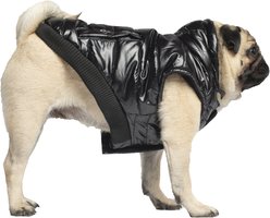 Canada Pooch Shiny North Pole Insulated Dog Puffer Vest, Black, 18