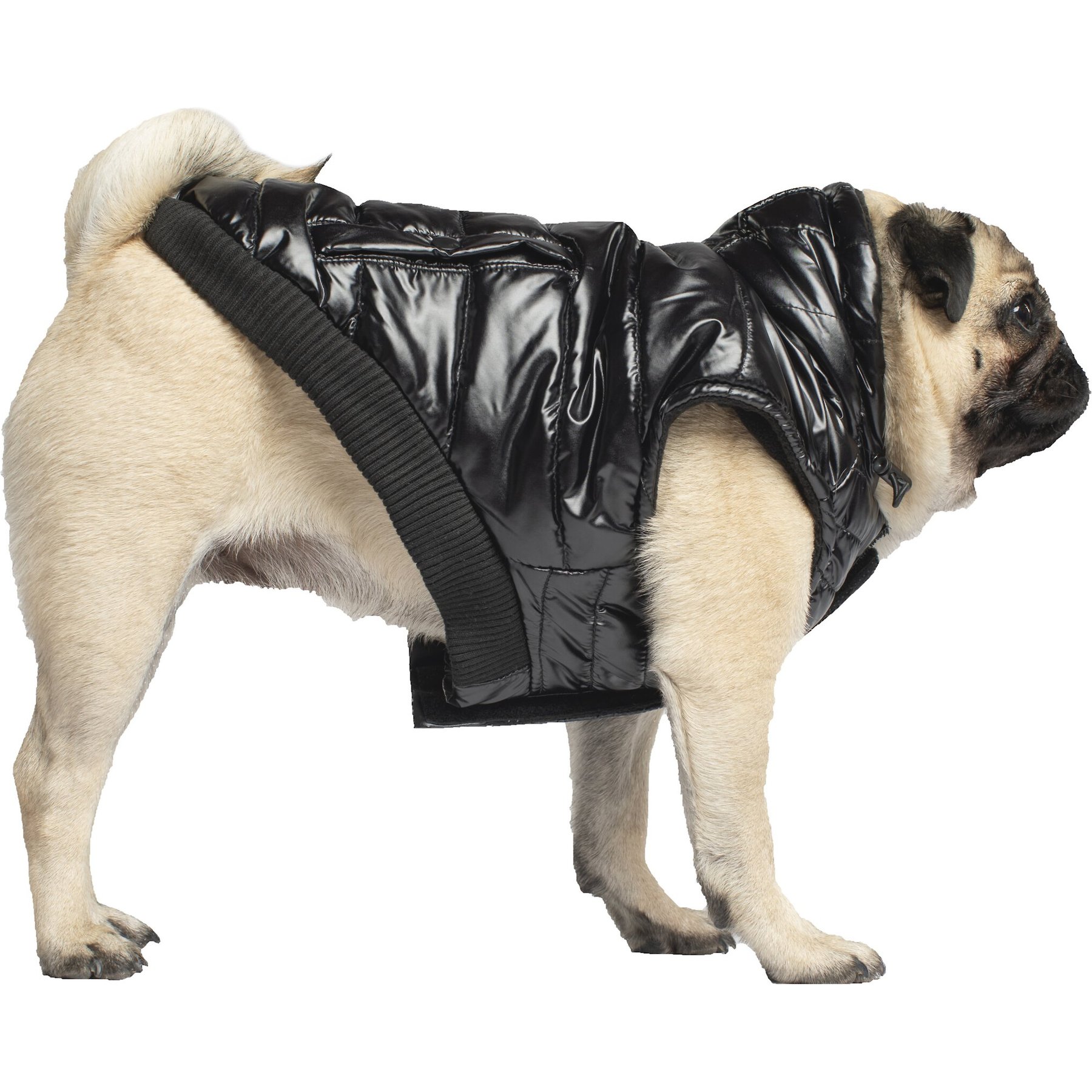 Canada Pooch Shiny North Pole Insulated Dog Puffer Vest, Black, 18