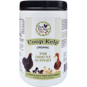 Fresh Eggs Daily Coop Kelp Organic Chicken & Duck Supplement, 16-oz jar