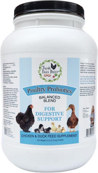 Fresh Eggs Daily Poultry Probiotics Balanced Mix Chicken & Duck Supplement