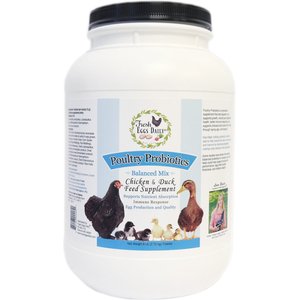 Fresh Eggs Daily Poultry Probiotics Balanced Mix Chicken & Duck Supplement, 6-lb jar