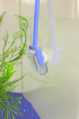 Show full view: Dennerle Snail Catcher slide 3 of 3