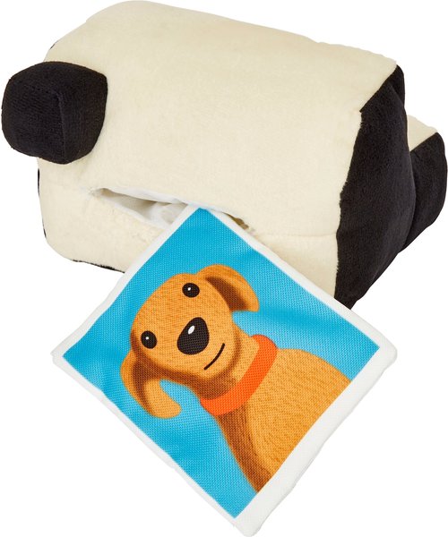 camera dog toy