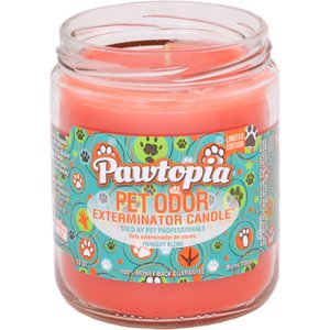 Pet Odor Exterminator Pawtopia Deodorizing Dog & Cat Candle, 13-oz jar
