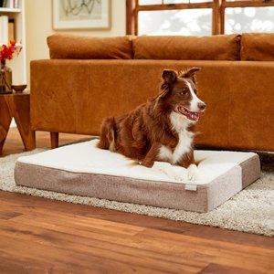 Frisco Orthopedic Pillow Cat & Dog Bed, Brown, X-Large