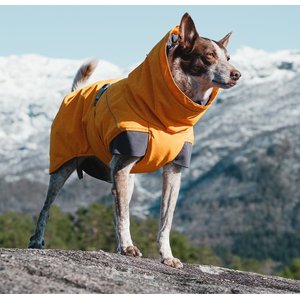 Hurtta Expedition Insulated Dog Parka, Buckthorn, 14-in, X-Large