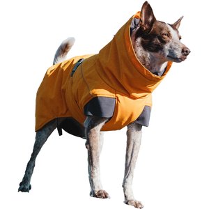 Hurtta Expedition Insulated Dog Parka, Buckthorn, 14-in, X-Large