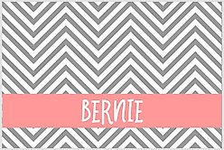 904 Custom Chevron Personalized Dog & Cat Placemat