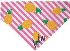 904 Custom Cabana Stripe Personalized Dog Collar Bandana, Small