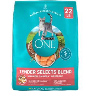 Purina ONE Tender Selects Blend with Real Salmon Dry Cat Food, 22-lb bag