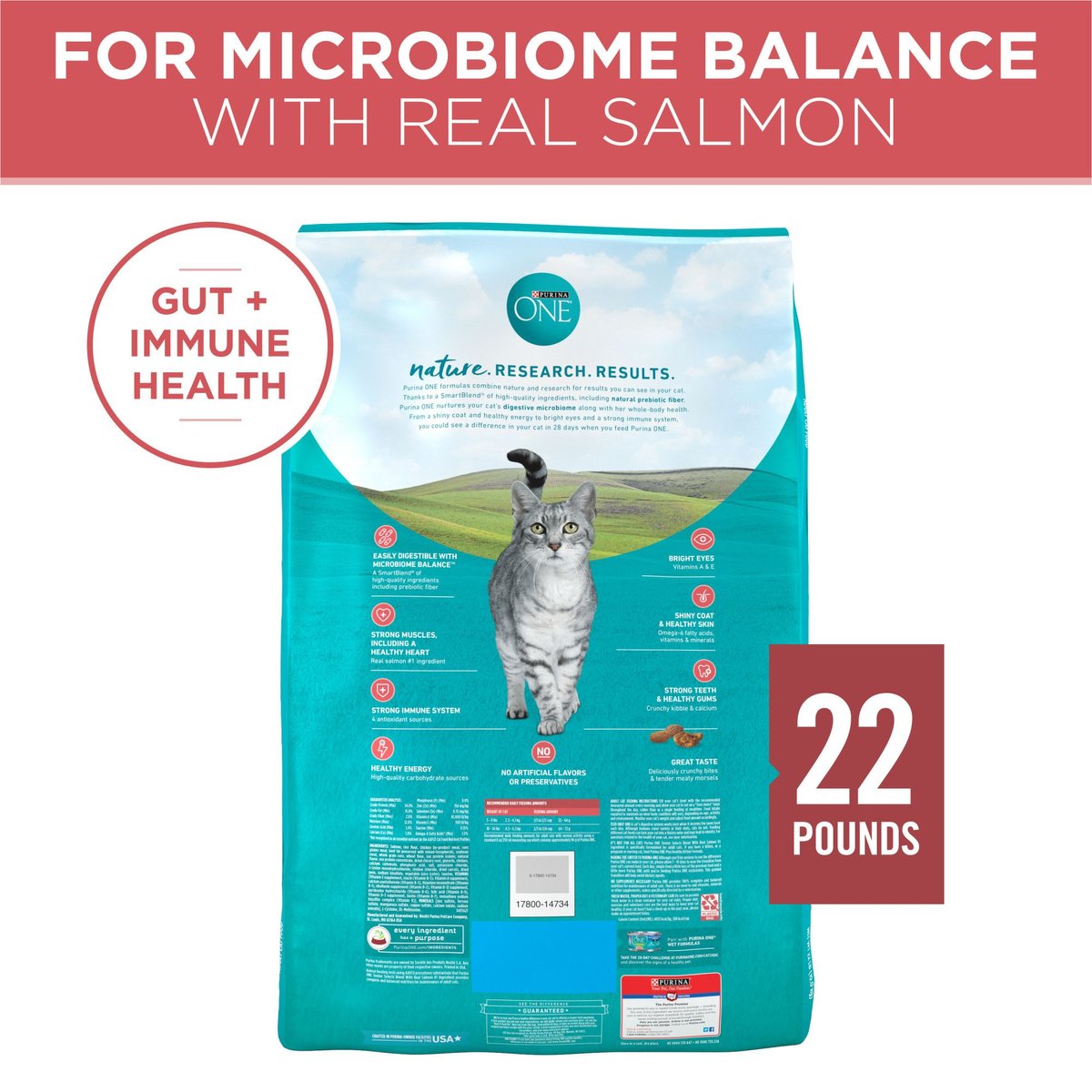 PURINA ONE Tender Selects Blend with Real Salmon Dry Cat Food, 22lb