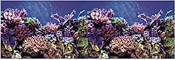 Vepotek Double-Sided Fish Aquarium Background, Ocean Seabed & Coral Reef, Small slide 2 of 4