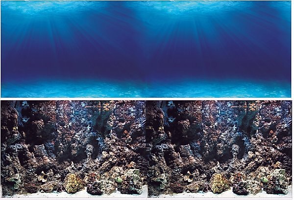 Vepotek Double-Sided Fish Aquarium Background, Deep Seabed & Coral Rock, Medium slide 1 of 4