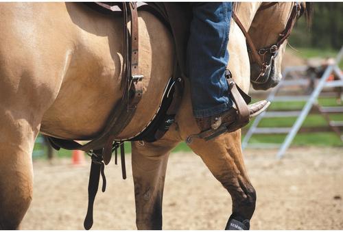 Show full view: Weaver Equine AirFlex Roper Horse Cinch, 28-in slide 6 of 6