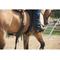 Show in main carousel: Weaver Equine AirFlex Roper Horse Cinch, 34-in slide 6 of 6