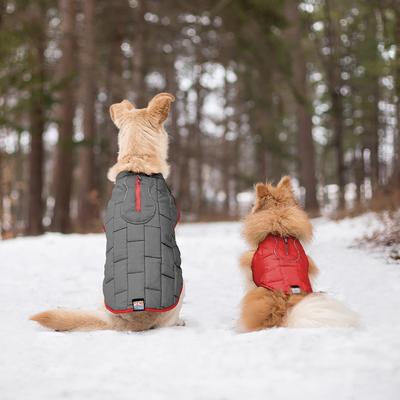 Show full view: Kurgo Loft Reversible Insulated Dog Quilted Coat, Chili Red & Charcoal, Medium slide 6 of 12