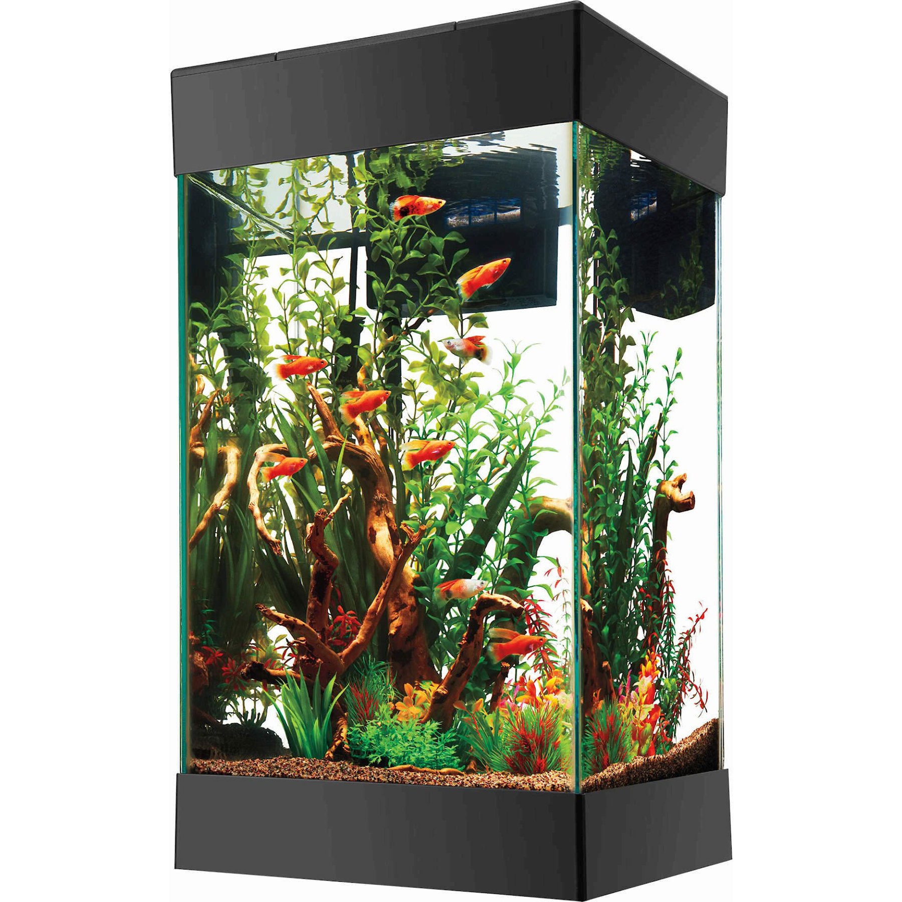 AQUEON LED Aquarium Starter Kit 15 gal Chewy