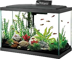 Aqueon LED Aquarium Starter Kit, 20-gal