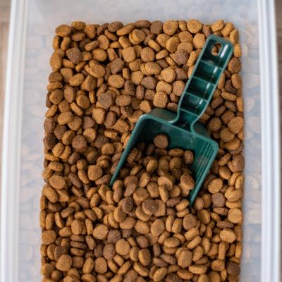 Show full view: IRIS 3-Piece Remington Airtight Dog & Cat Food Container, Green slide 5 of 10