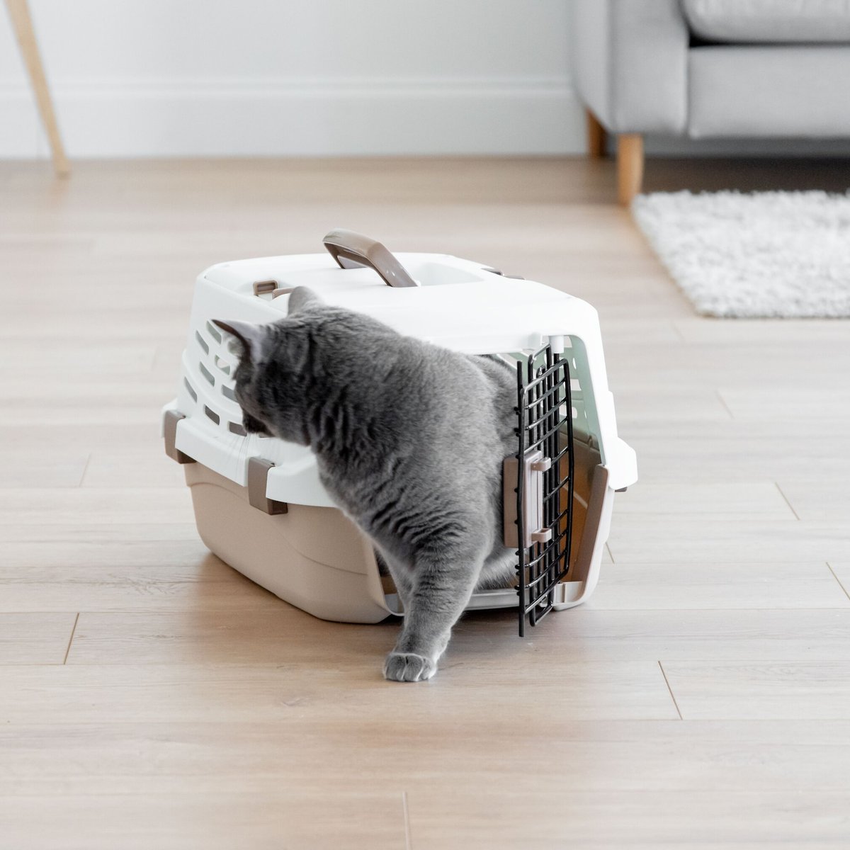 IRIS Small Easy Access Dog Travel Carrier, OffWhite/Brown