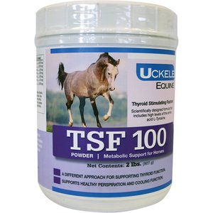 Uckele Tsf 100 Metabolic Support Powder Horse Supplement, 2-lb jar
