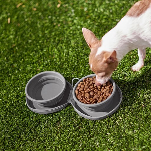 Frisco Travel Collapsible Silicone Dog & Cat Bowl, Gray, Small: 1.5 cup