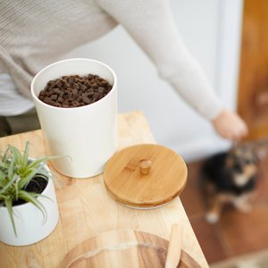 Frisco Melamine Dog & Cat Treat Jar with Bamboo Lid, 8 cup