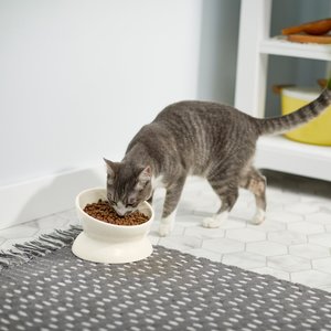 Tips How to Select the Best Elevated Cat Bowl Stand – Americat Company