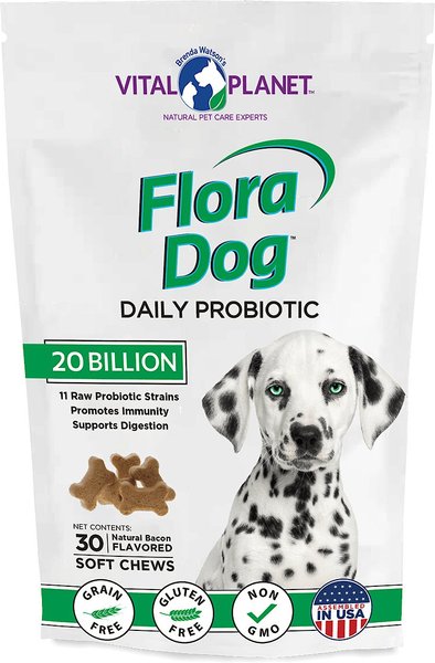 Vital Planet Flora Dog 20 Billion Daily Probiotic Soft Chew Dog Supplement, 30 count slide 1 of 2