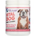 Vital Planet Vital Dog Multi-Vitamin Beef Flavor Powder Dog Supplement, 2.6-oz jar