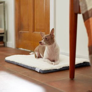 Frisco Self Warming Pillow Rectangular Pet Bed, Gray, 24"