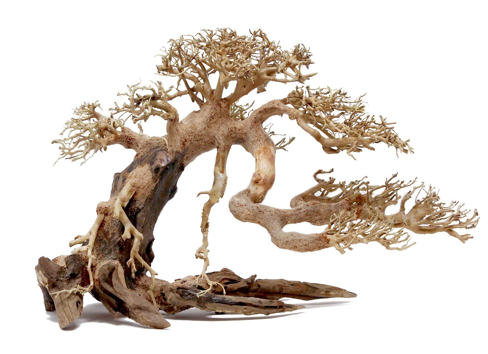 bonsai flower tree Mini cute Ji Rose Bonsai Live Green Bonsai Indoor outdoor Gardening  CYMUS  Nurery