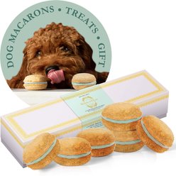 Bonne et Filou Mint All-Natural Handmade Macaron Dog Treats, 6 count slide 1 of 9