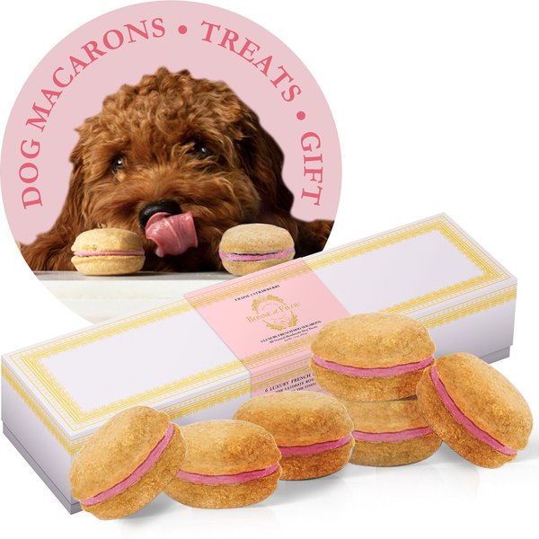 Bonne et Filou Strawberry All-Natural Handmade Macaron Dog Treats, 6 count slide 1 of 11