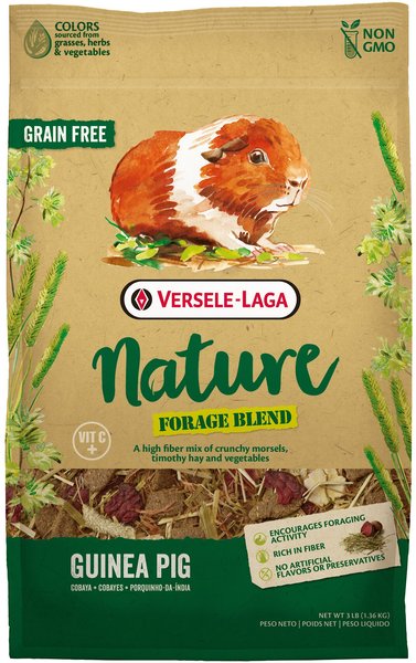 Versele-Laga Nature Forage Blend Grain-Free Plus Vitamin C Guinea Pig Food, 3-lb bag slide 1 of 4